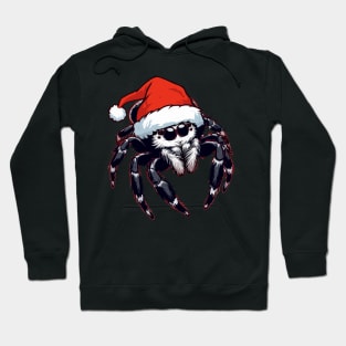 Christmas jumping spider Hoodie